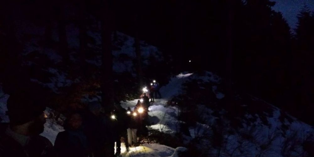 Una sera d'inverno nella foresta